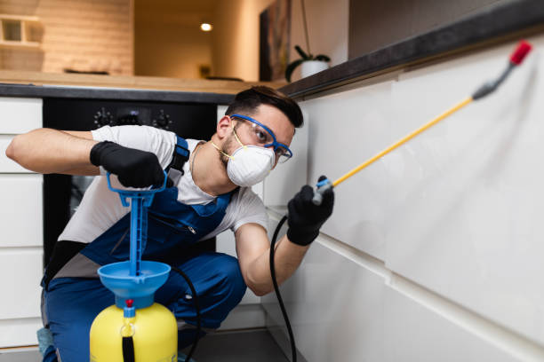Pest Control Cost in Clarkston Heights Vineland, WA