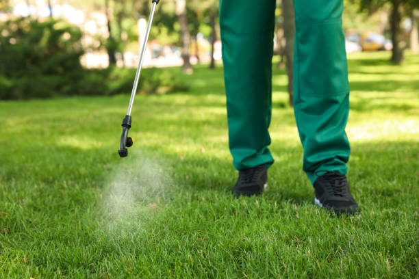 Pest Prevention Services in Clarkston Heights Vineland, WA
