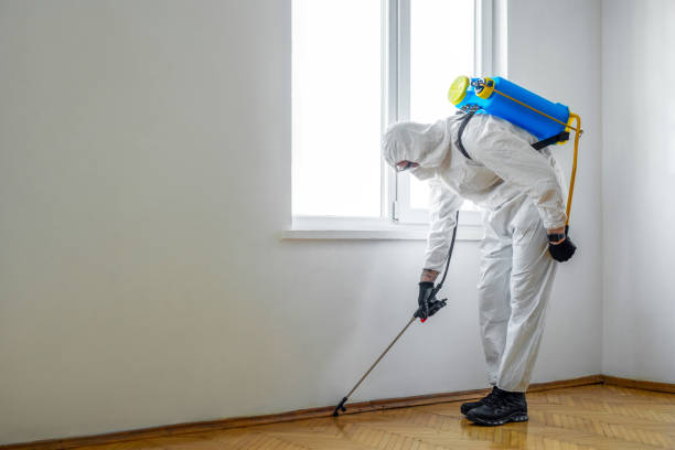 Best Pest Removal Services  in Clarkston Heights Vineland, WA